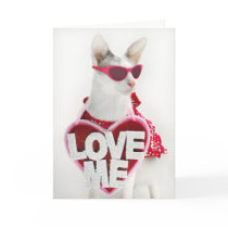 Valentine's Day Card by Skeezix the Cat by knichols1109 Valentine's Day Card by Skeezix the Cat