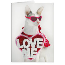 Valentine's Day Card by Skeezix the Cat cards