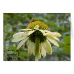 Valentine's Day Card -Coneflower
