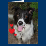 Valentine's Day Card from the Dog cards
