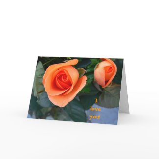 VALENTINE'S DAY CARD-ORANGE ROSE card