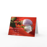Valentine's Day card -Pink and White Rose cards