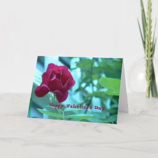 Valentine's Day Card-Rose card