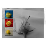 Valentine's Day Card-White Rose