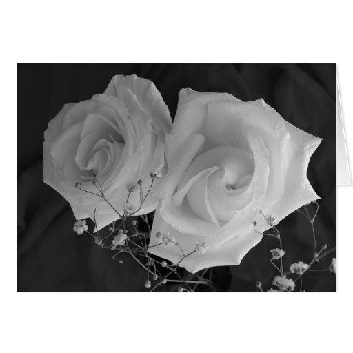 Valentine's Day card - White Roses