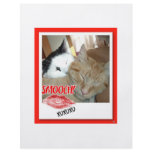 Valentine's Day Cat Humor Flyer