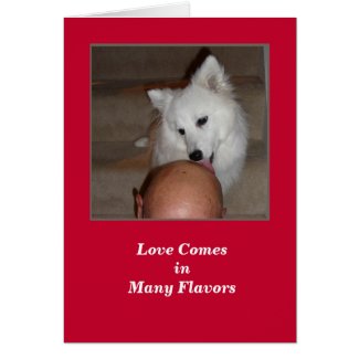 Valentine's Day Dog and Bald Man Greeting Card