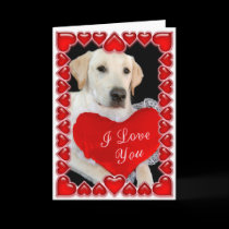 Valentine's Day Dog Card cards