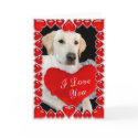 Valentine's Day Dog Card by glenndesigns Valentine's Day Dog Card