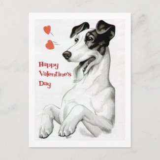 Valentines Day Dog postcard