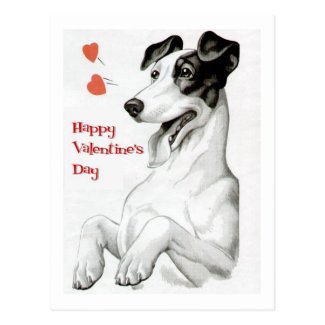 Valentines Day Dog Postcard