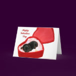 Valentines Day Doxie