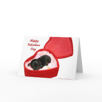 Valentines Day Doxie cards