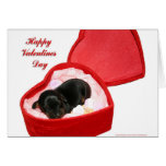 Valentines Day Doxie Card
