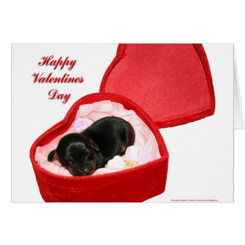 Valentines Day Doxie Greeting Card