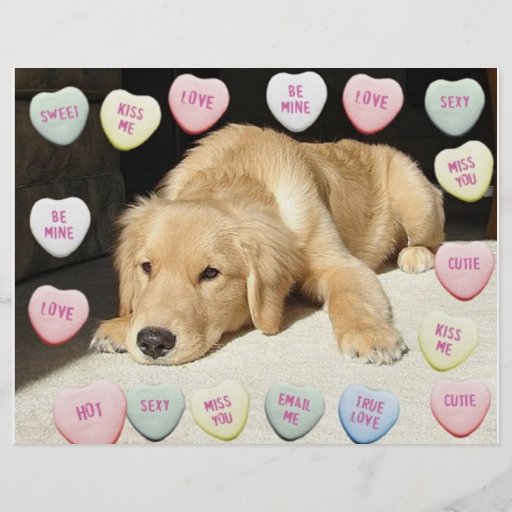 Valentine's Day Golden Retriever Flyer Design