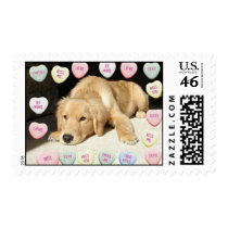 Valentine's Day Golden Retriever Stamp