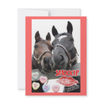 Valentine's Day Horses invitations by Incatneato Valentine's Day Horses invitations