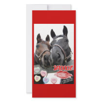 Valentine's Day Horses photo cards by Incatneato Valentine's Day Horses photo cards