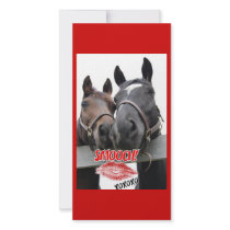 Valentine's Day Horses photo cards by JunipersWedding Valentine's Day Horses photo cards