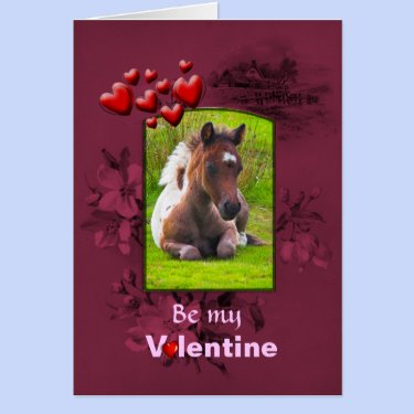 Valentines Day, Kneeling Dartmoor Pony Foal Card