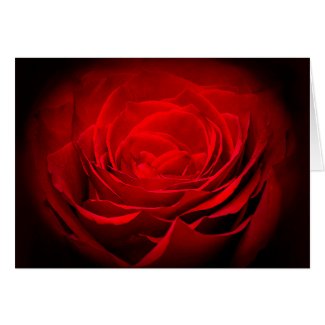 Valentine's Day / Love Card - Red Painted Rose