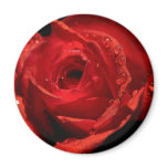 Aimant de Saint-Valentin magnets