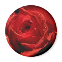 Ímã do dia de Valentim ímãs
