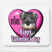 Valentine's Day Miniature Schnauzer