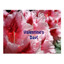 Valentine's Day! postcards Pink Floral Gardens