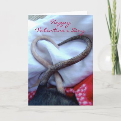 Valentines Day Cards Ideas. Valentine#39;s Day Rat Card