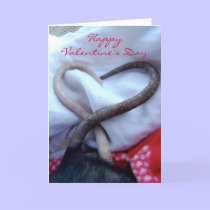 Valentine's Day Rat Card