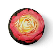 Valentines day roses buttons
