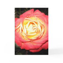 Valentines day roses cards