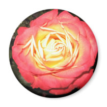 Valentines day roses magnets