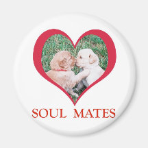 Valentine's Day Soul Mates Shirts, Cards, Mugs Fridge Magnets