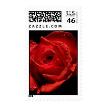 Valentine's Day stamp stamps