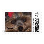 Valentines Day Stamps-Yorkie