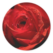 Etiquetas do dia de Valentim adesivos