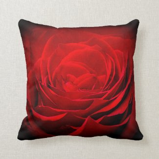 Valentines Decor - Stunning Painted Red Rose Throw Pillow