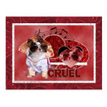 Valentines - Dont Be Cruel - Chihuahua - Gizmo Postcard