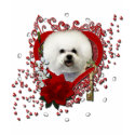 Valentines - Key to My Heart - Bichon Frise shirt