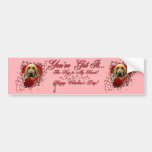 Valentines - Key to My Heart - Bloodhound - Penney Bumper Sticker