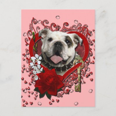 bulldog valentine
