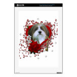 Valentines - Key to My Heart - Havenese PS3 Console Skin