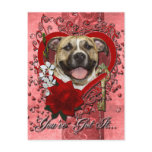 Valentines - Key to My Heart - Pitbull - Tigger Post Card