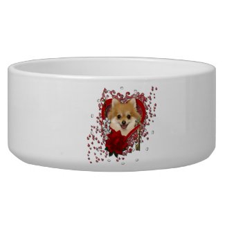 Valentines - Key to My Heart - Pomeranian petbowl