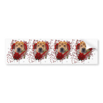 Valentines - Key to My Heart - Shar Pei Bumper Stickers