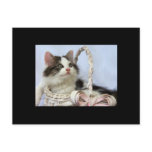Valentine's Kitten ACEO Art Trading Card Post Card