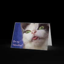 Valentine's Kitty cards